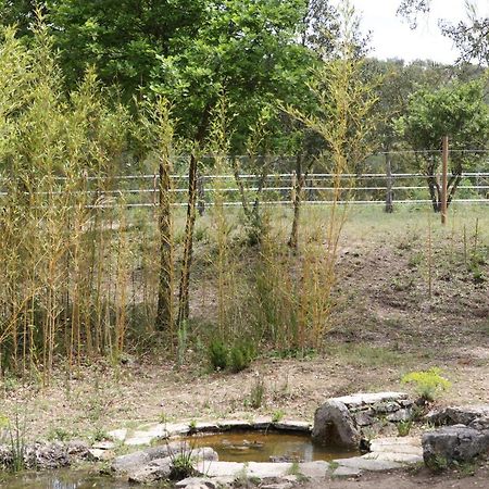 Villa Villekulla Dependance Avec Spa Privatif Le Plan-de-la-Tour Εξωτερικό φωτογραφία