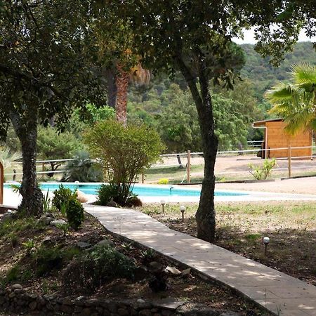 Villa Villekulla Dependance Avec Spa Privatif Le Plan-de-la-Tour Εξωτερικό φωτογραφία