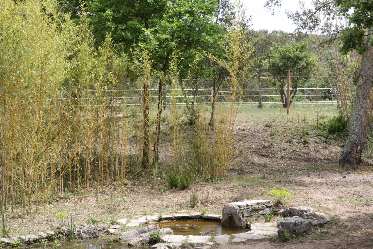 Villa Villekulla Dependance Avec Spa Privatif Le Plan-de-la-Tour Εξωτερικό φωτογραφία
