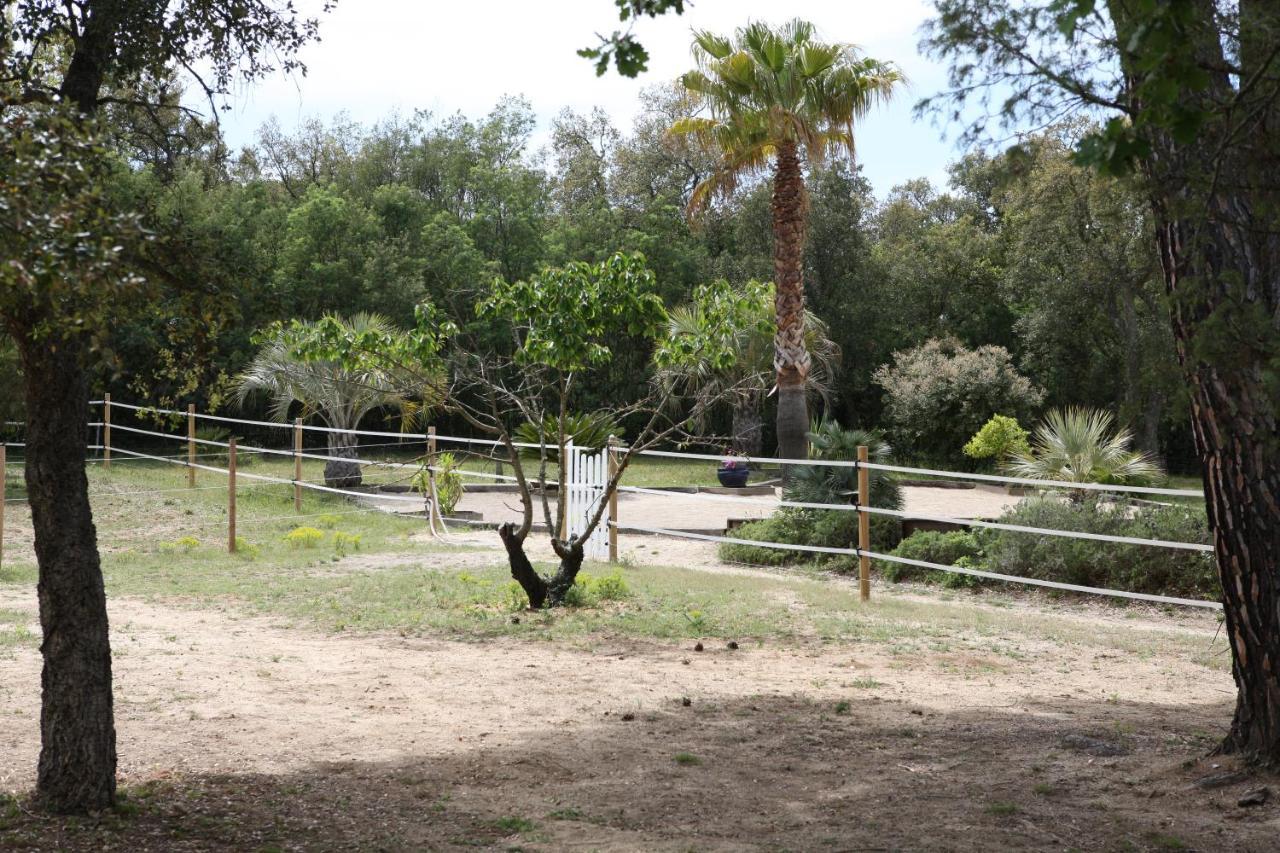 Villa Villekulla Dependance Avec Spa Privatif Le Plan-de-la-Tour Εξωτερικό φωτογραφία