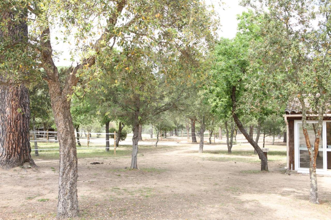 Villa Villekulla Dependance Avec Spa Privatif Le Plan-de-la-Tour Εξωτερικό φωτογραφία